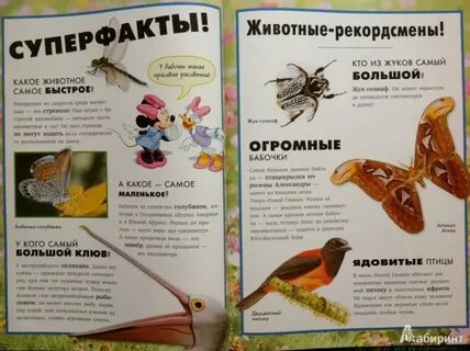 Окружающий мир самые самые животные