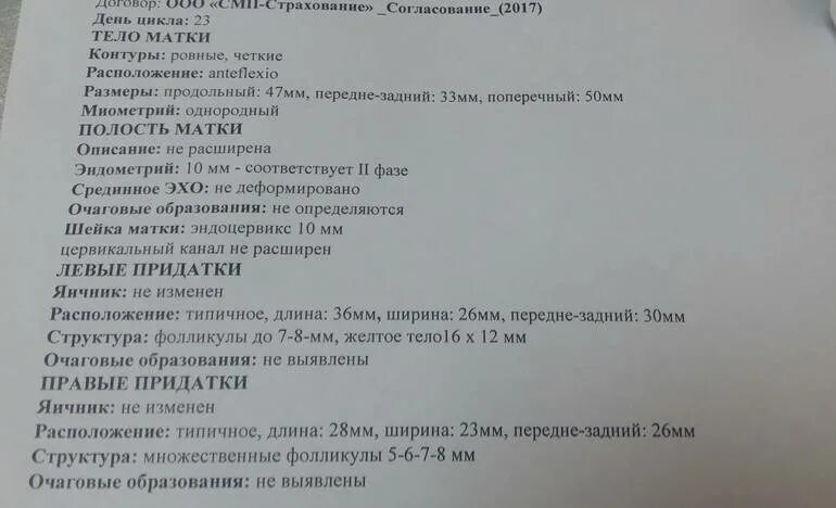 Толщина эндометрии для зачатия. Нормальный яичник УЗИ 7 день цикла. Доминантный фолликул 19мм эндометрии 7мм УЗИ. Жёлтое тело на УЗИ при беременности 7 недель. Доминантный фолликул на 10 день цикла норма.