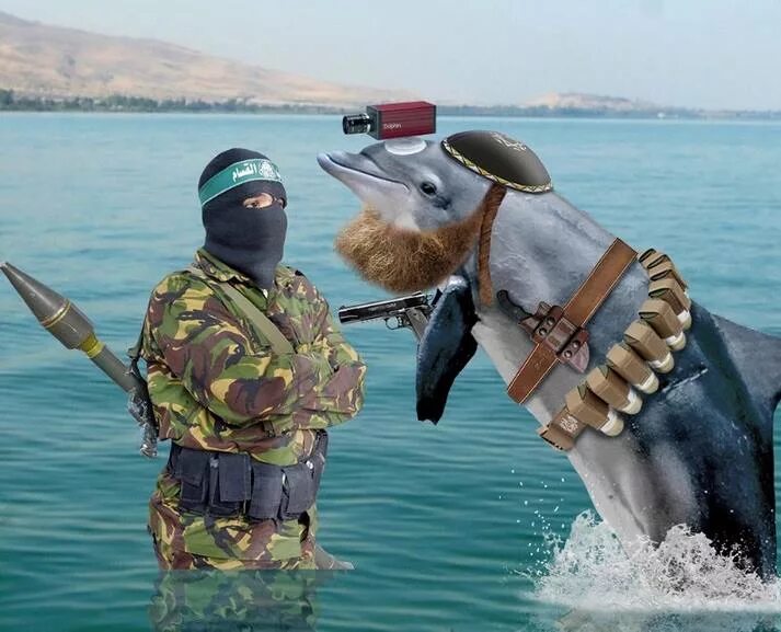 Дельфины террористы. Израильский Дельфин. Spy Dolphin Israel Hamas. Дельфин в армии России. Дельфин вооруженные Мем.