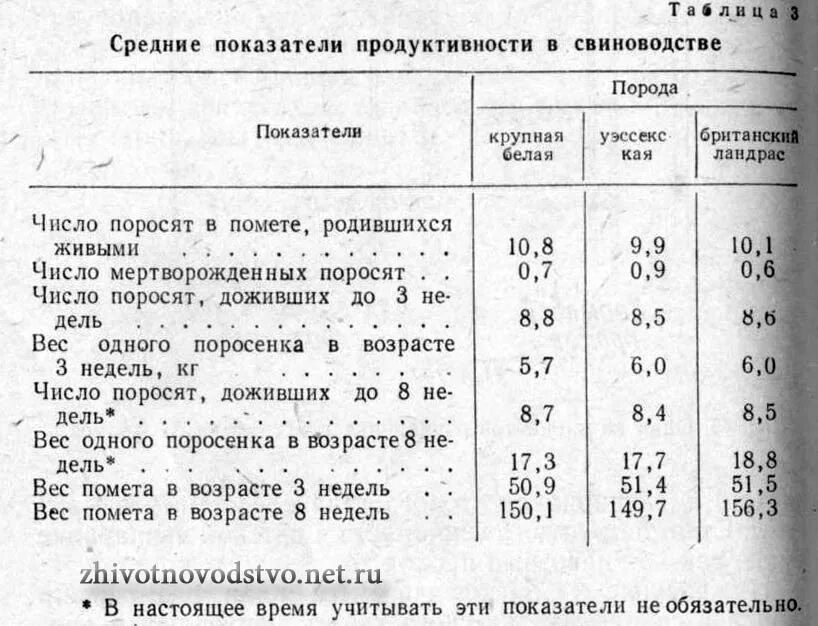 Продуктивность свиноматок таблица. Вес свиней на откорме. Учет и оценка мясной продуктивности свиней. Селекция в животноводстве. Продуктивность свиноматки.