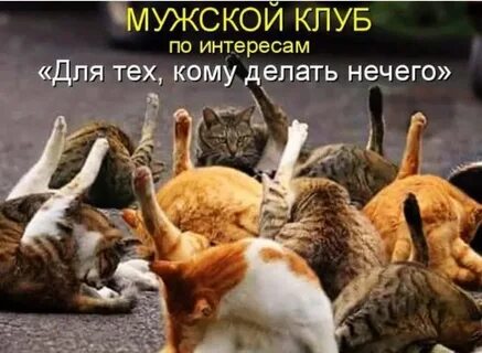 Ничего картинки смешные