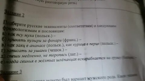 Как псу муха подобрать русский эквивалент