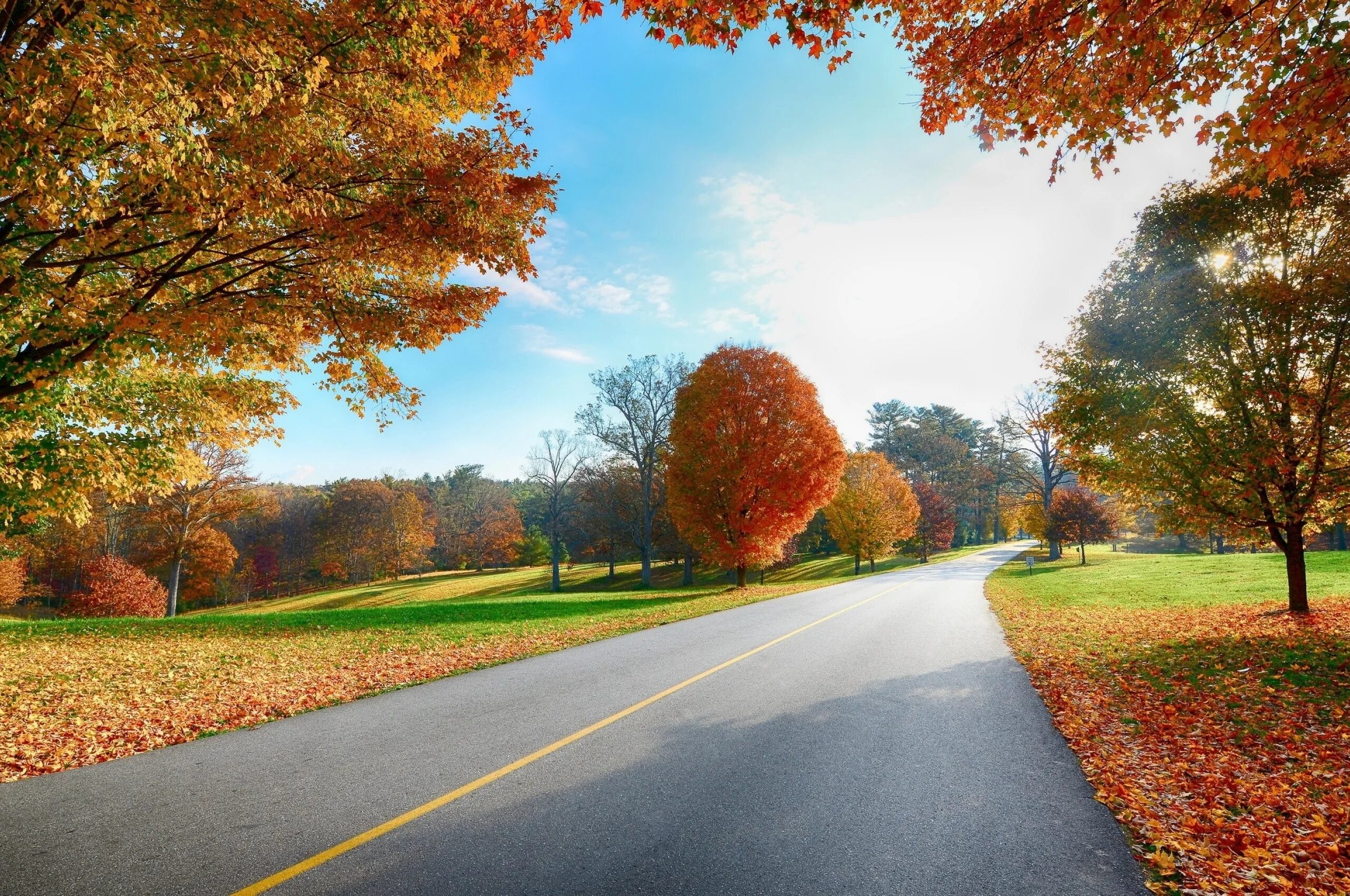 Fall around. Дорога в осень. Осенний пейзаж. Осень парк дорога. Осенний парк.