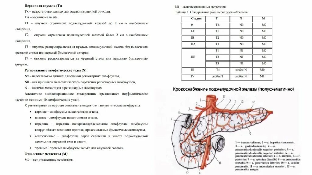 Регионарные лимфоузлы поджелудочной железы. Регионарные лимфатические узлы поджелудочной железы. Лимфатические узлы поджелудочной железы. Лимфоузел в поджелудочной железе.