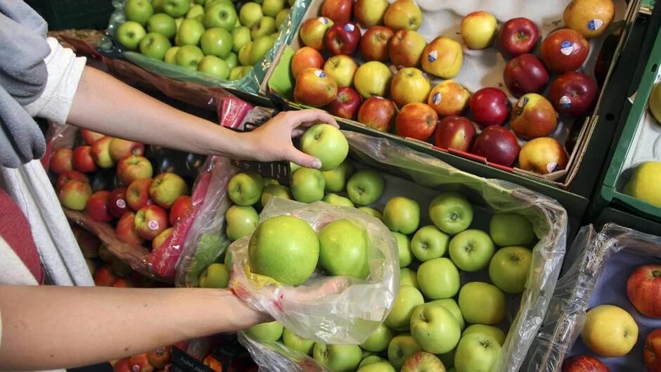 Есть ли аллергия на яблоки. Польша крупный поставщик яблок в Европу. Ящики для яблок пластиковые. Радиоактивны ли яблоки.