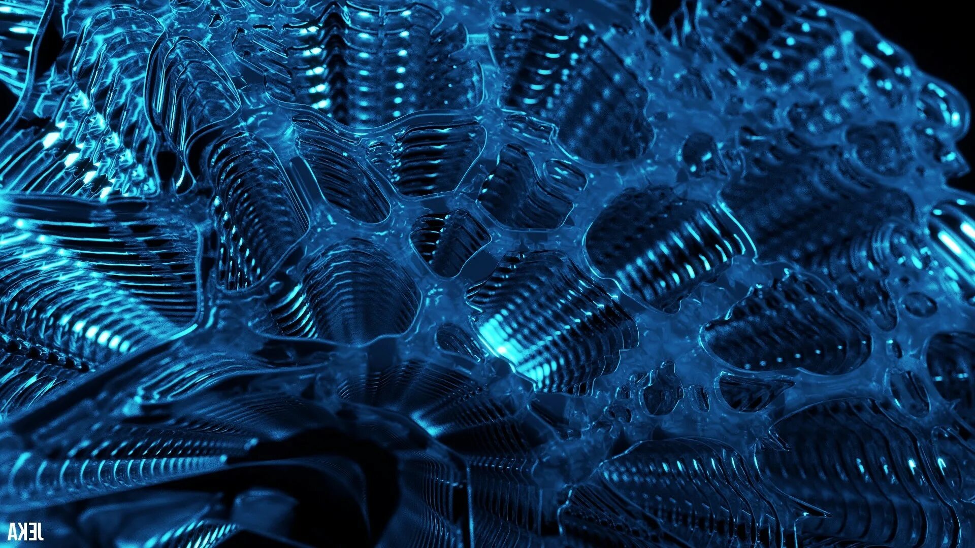 3d features