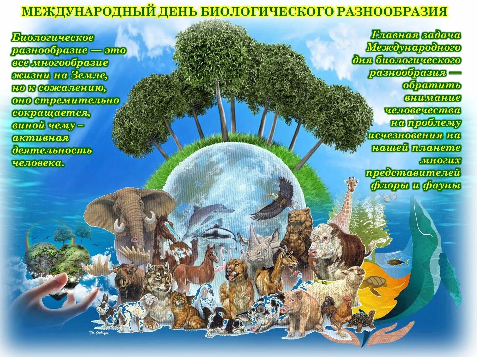 День биологического разнообразия. Международный день биоразнообразия. День сохранения биологического разнообразия. Всемирный день биологического разнообразия.