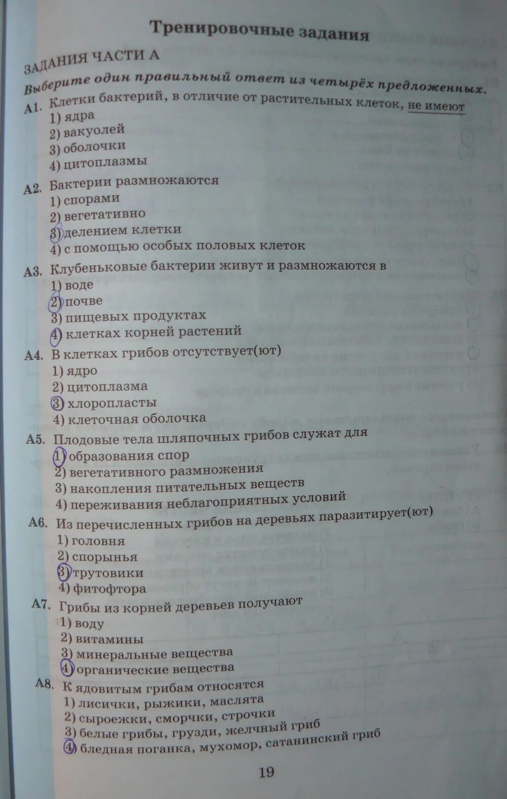 Тесты по биологии 6 класс Пасечник. Тест по биологии грибы. Тестовые задания по биологии 6 класс. Тест по биологии бактерии. Тест по биологии по теме бактерии