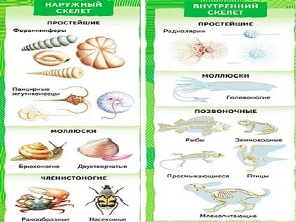 Палеонтологическая летопись