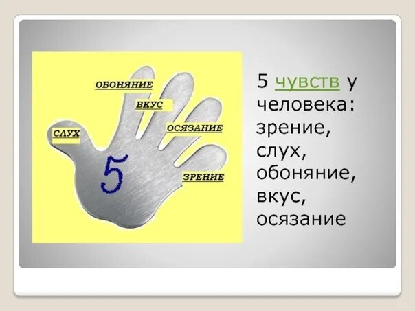 Пять чувств. 5 Органов чувств. Какие 5 органов чувств. Все чувства человека список 5.