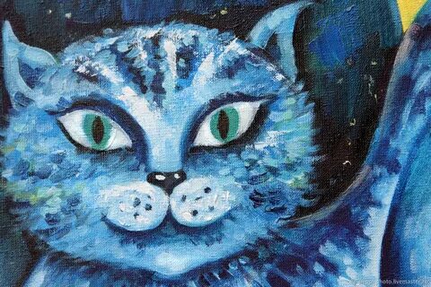 Лунный кот зеленоград