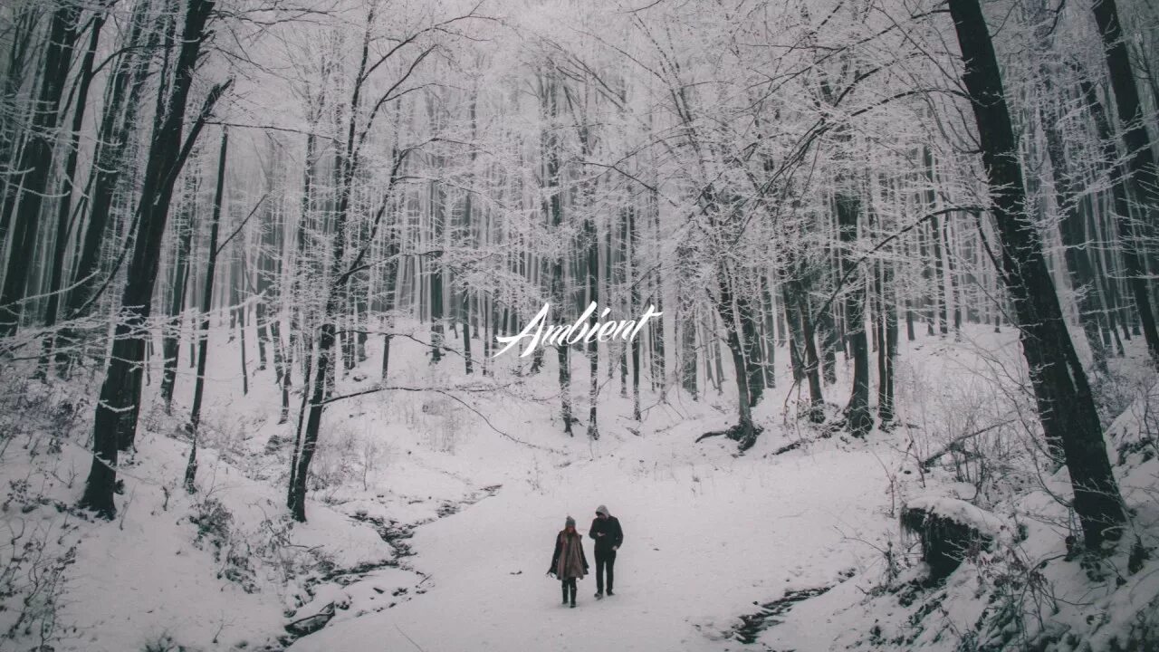 Ближний лес. Winter months. Winter is past. Winter months. Winter is past.