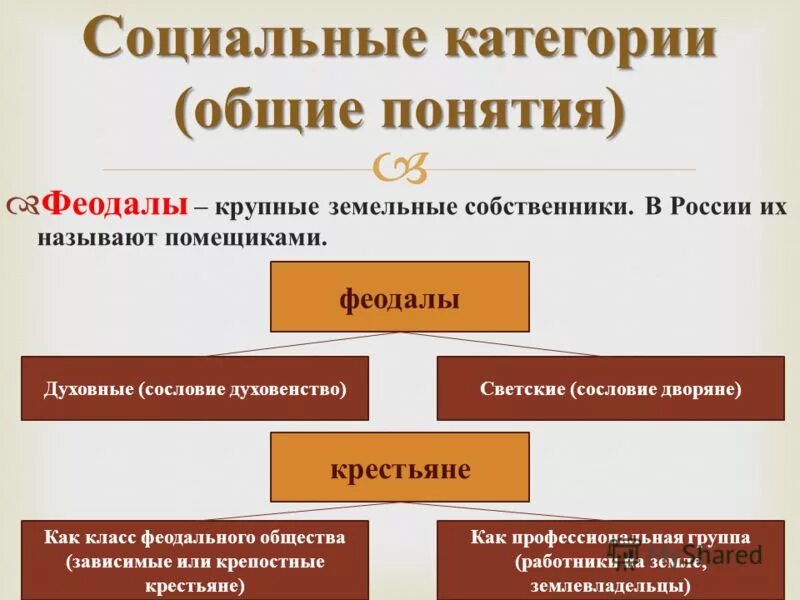 Социальная дифференциация общества. Социальная категория примеры. Социальные категории. Категории общества. Любых социальных категорий