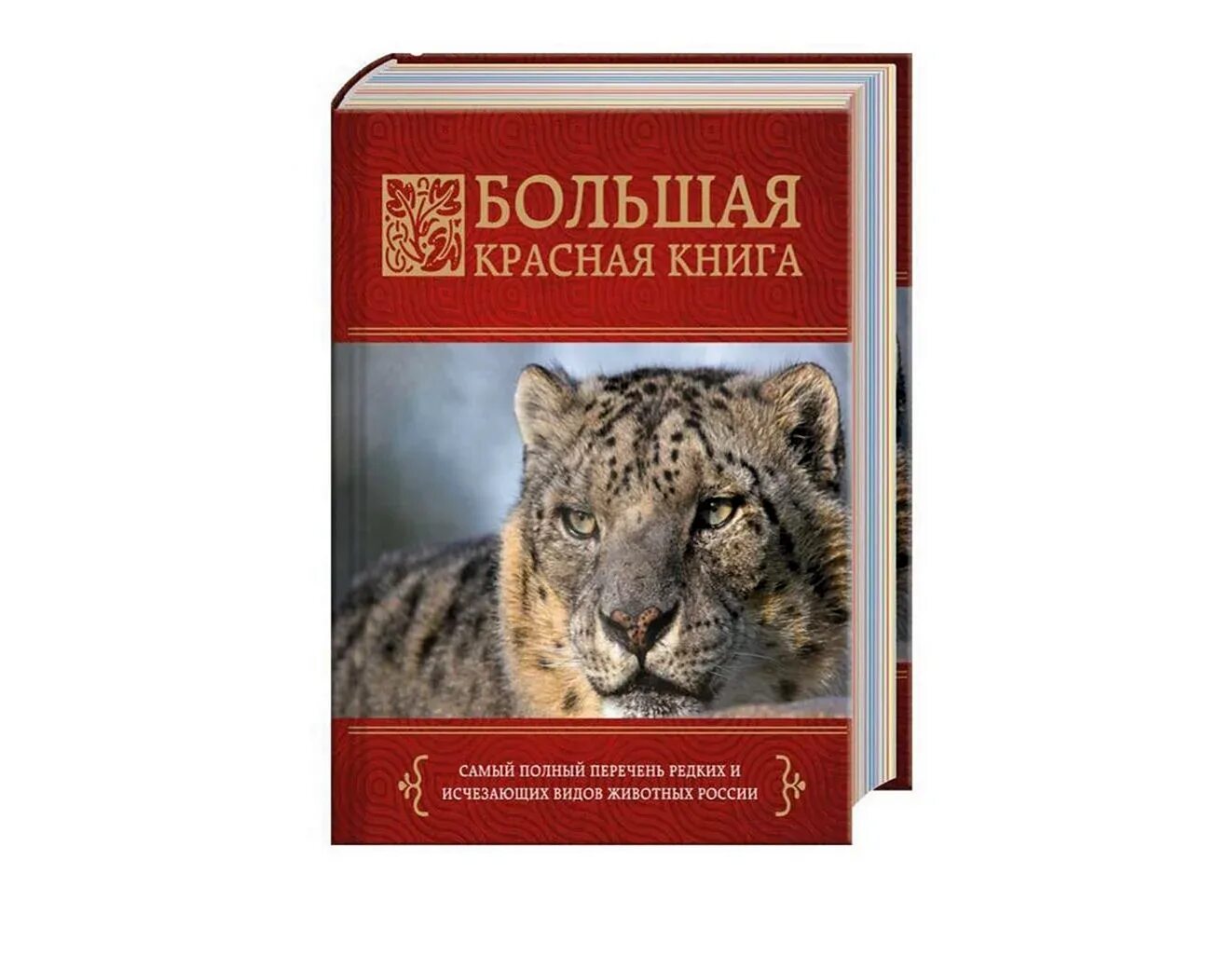 Сайт книги рф. Красная книга. Международная красная книга. Красная книга обложка. Красная книга России.