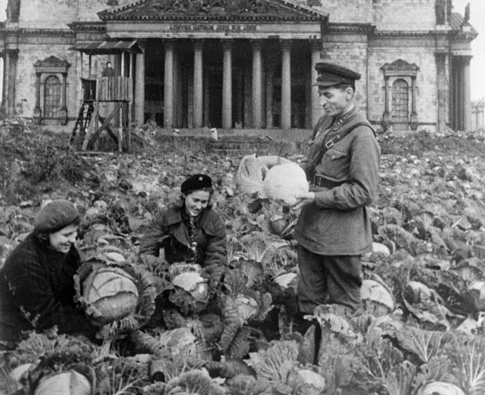 Грядки в блокадном ленинграде. Блокадный огород. Огородничество в блокадном ленинграде. Блокадный огород. Огород у исаакиевского собора блокада ленинграда.