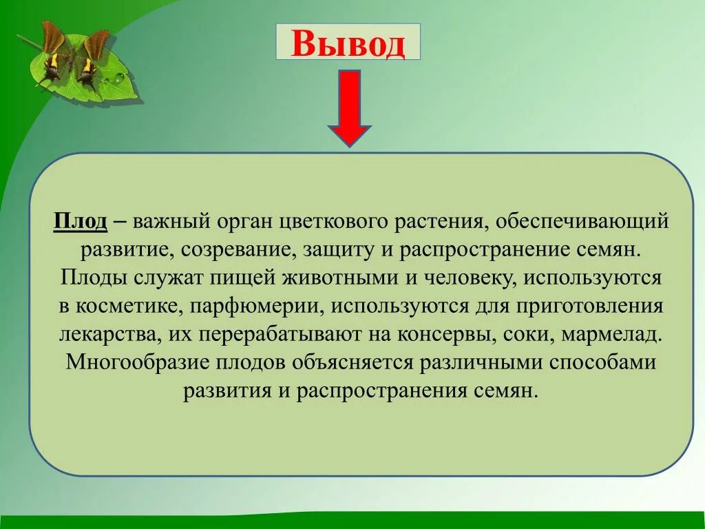 Растения обеспечивают жизнь другим потому что. Вывод плоды. Вывод на тему плоды. Вывод про растения. Вывод о значении плодов.