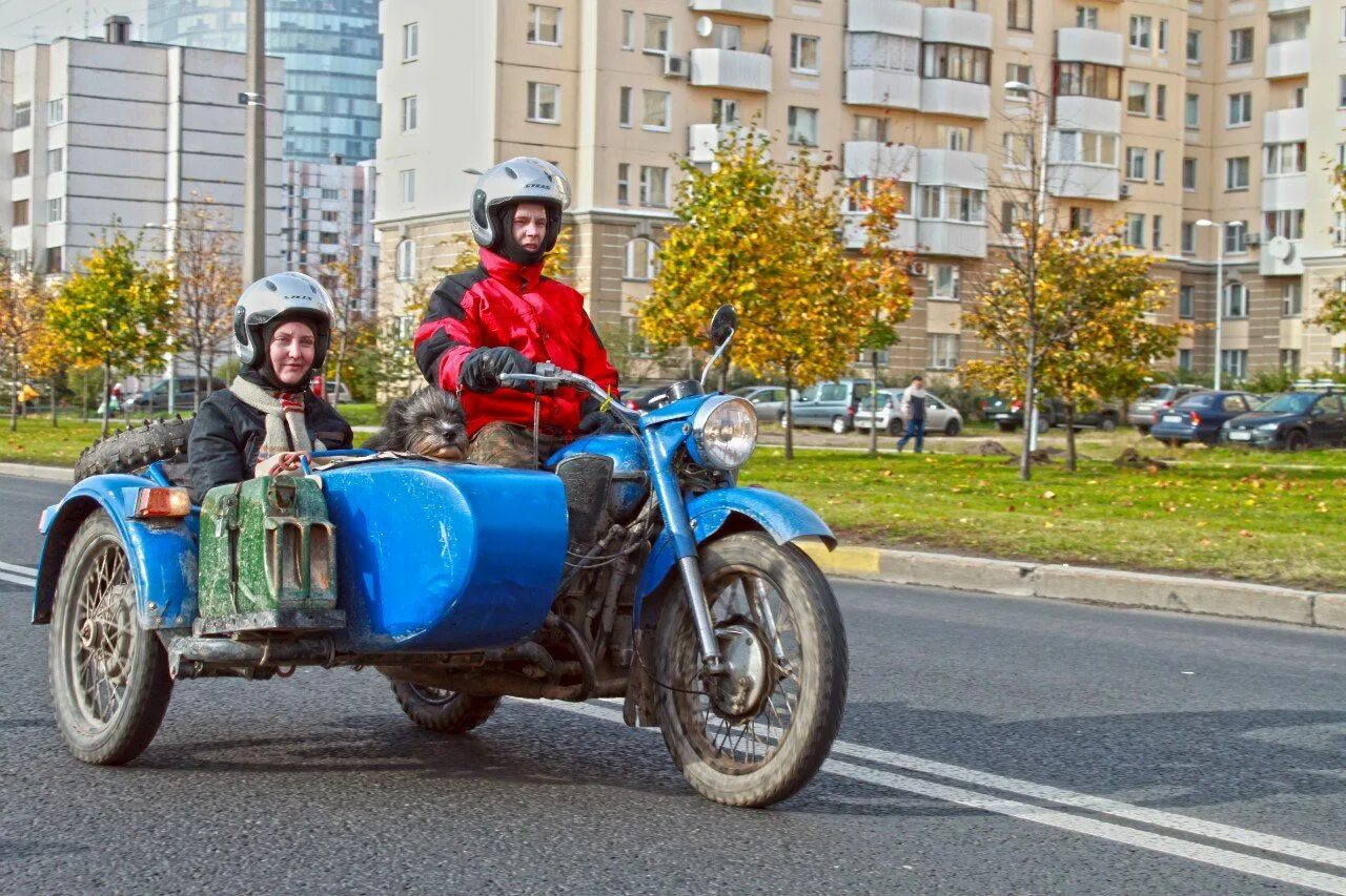 Весел урал. Мотоцикл Урал с люлькой. Урал с люлькой с людьми. Мотоцикл Урал с люлькой 1980. Урал с коляской ИЖ.