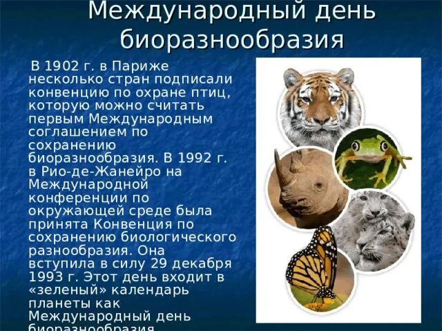 Оценка биоразнообразия. Международные соглашения в области биоразнообразия. биоразнообразие презентация. причины биоразнообразия презентация. международное сотрудничество в сохранении биоразнообразия.