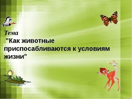 Условия жизни животных 2 класс