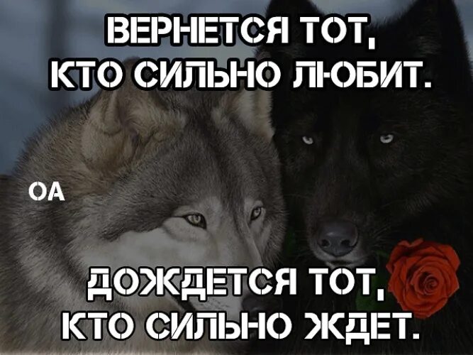 Какой бывший не вернется