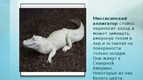 Переносить холод