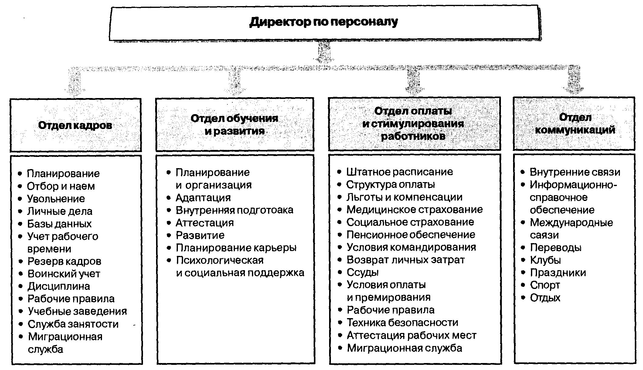 Структура службы управления персоналом организации схема. Структура кадровой службы организации схема. Структура кадровой службы управление персоналом схема. Организационная структура службы управления персоналом организации. Отдел группа служба