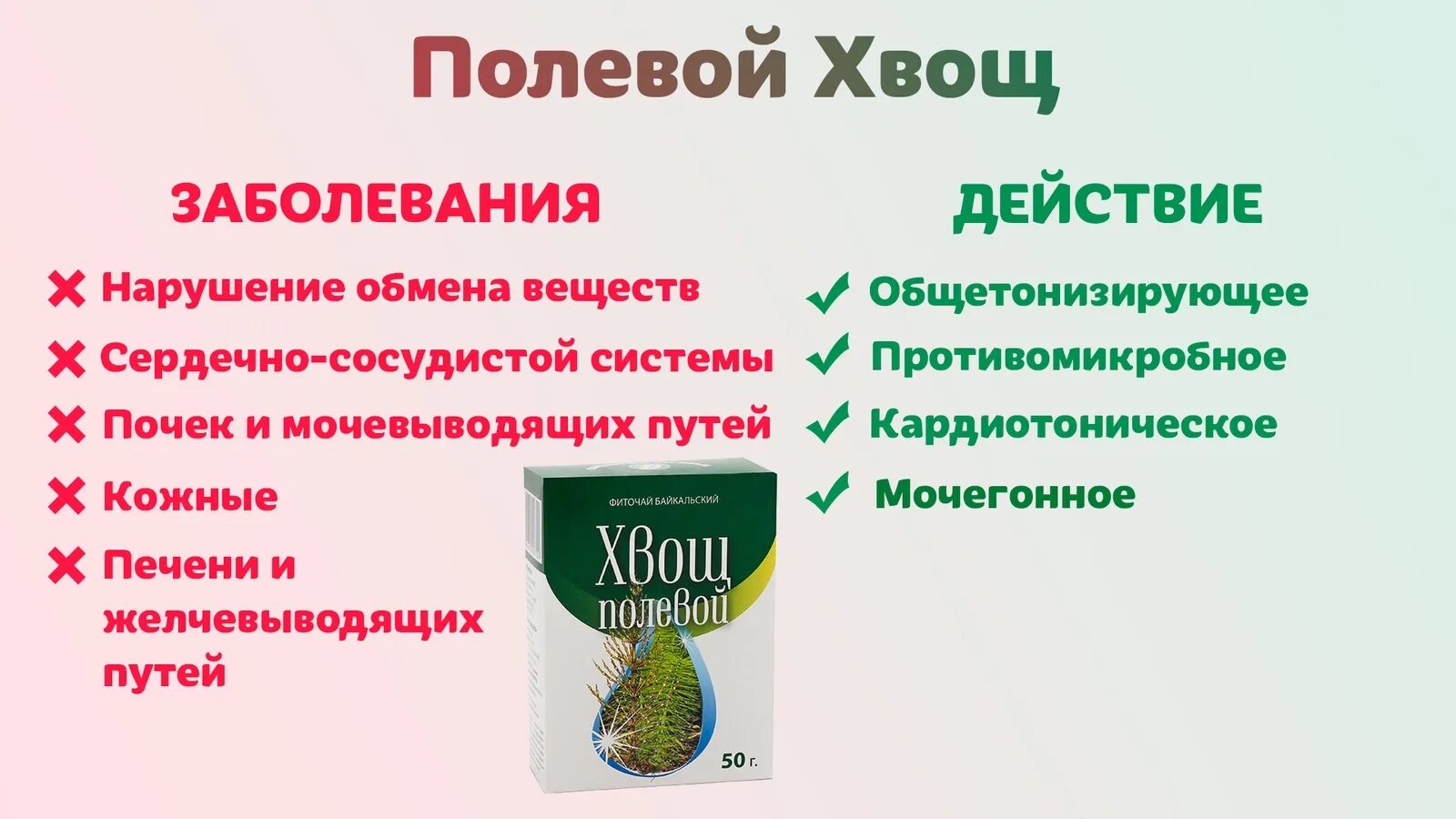 Хвощ полевой инструкция по применению лечебные свойства. Мазь из хвоща полевого. Настой хвоща полевого. Хвощ полевой отвар. Чай из хвоща полевого.