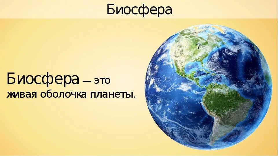 Биосфера россии