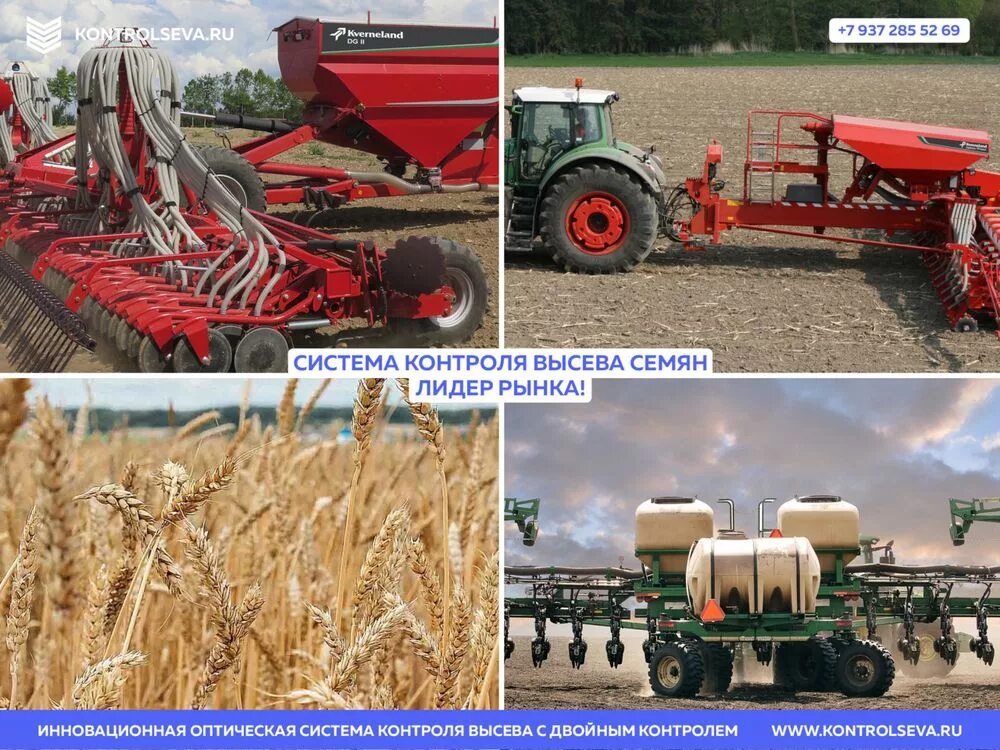 Норм высева сои на га. Норм высева сои на га