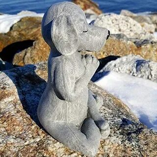 Собака дзен