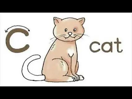Слово английский cat