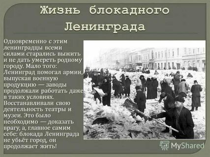 Факты про ленинградскую область