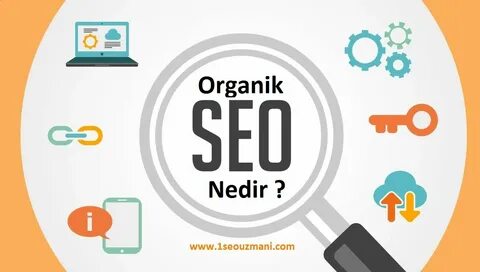 Seo неограниченное количество слов
