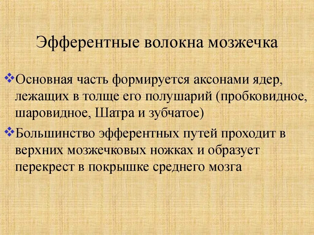 Мозжечок волокна. Эфферентные волокна мозжечка. Эфферентные нервные волокна. Афферентные и эфферентные нервные волокна мозжечка. Эфферентные волокна коры мозжечка образованы.