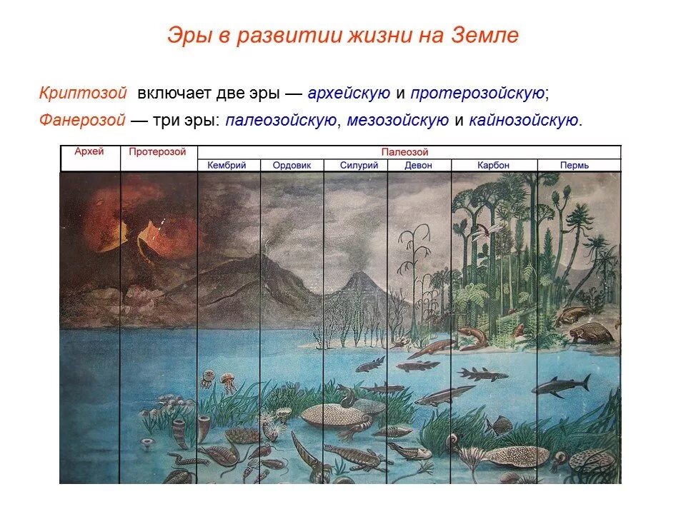 Архейская протерозойская палеозойская эра. Палеозой эра кембрий. ордовик силур девон. периоды палеозоя девон. период кембрий силур девон.
