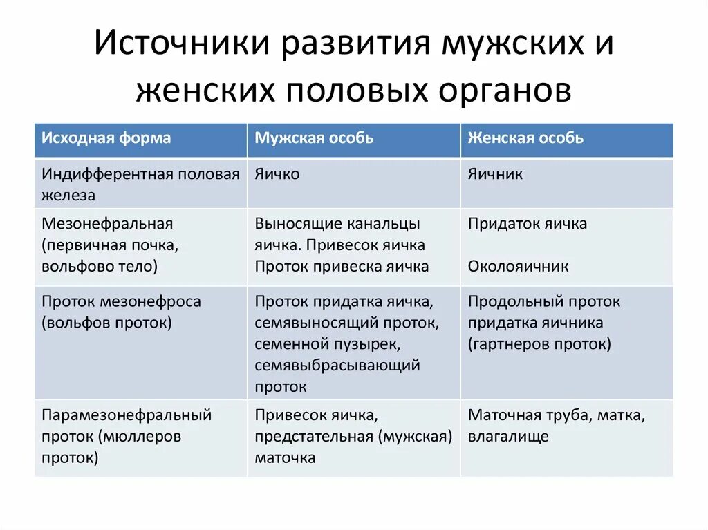 Половые различия мужчин. Источники развития мужских и женских половых органов. Источники развития женских органов. Источники развития половых органов таблица. Источник развития мужских органов.