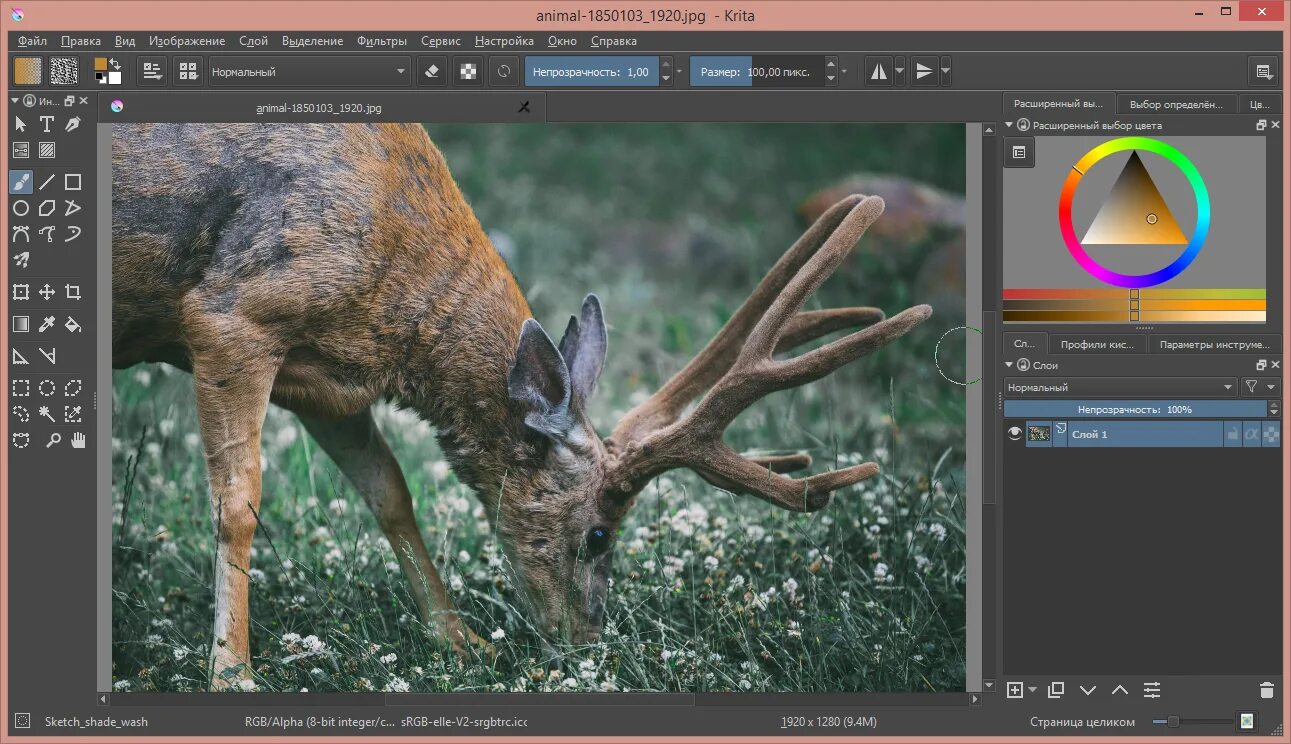 Для каких задач предназначена программа krita. Для каких задач предназначена программа krita. Krita размер. 2. Идеи для рисования в krita.