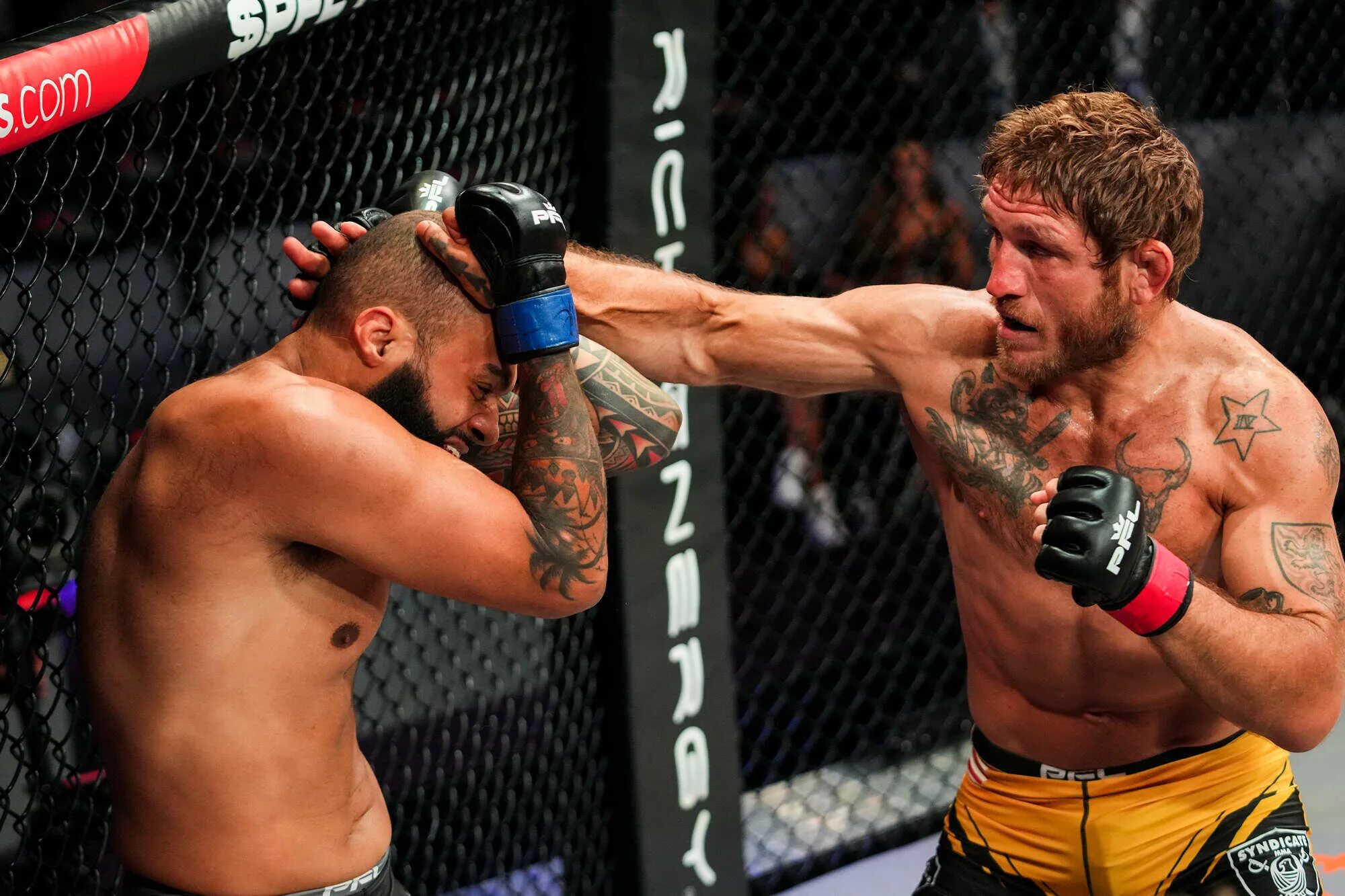 Мма файтерс. Pfl мма. пфл мма. пояс pfl mma. брэндон лохнейн боец pfl.