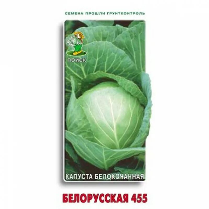 Капуста белокочанная белорусская 455. Капуста белокочанная белорусская 455 (0,5г). Семена капуста белокочанная белорусская 455 Одинцово. Капуста белокочанная белорусская 455 описание.