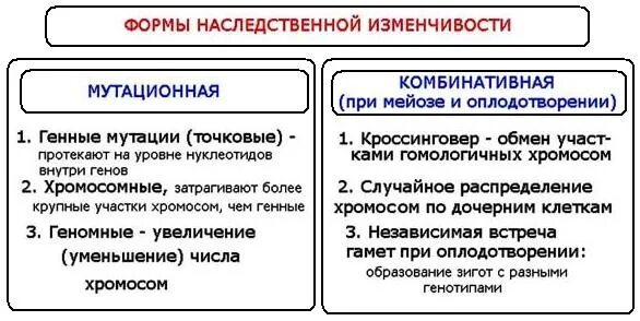 Мутации в отличие от модификаций. Характеристика комбинативной изменчивости таблица. Таблица свойства комбинативной изменчивости. Комбинативная и мутационная изменчивость. Мутационная и комбинативная изменчивость таблица.