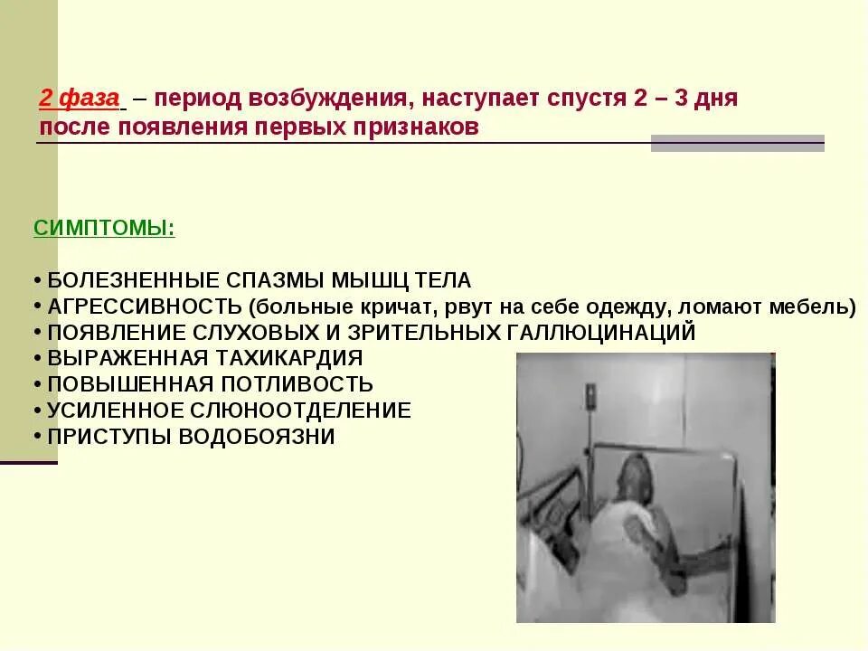 План ухода за пациентом при бешенстве. Симптомы бешенства у человека. Бешенство презентация.