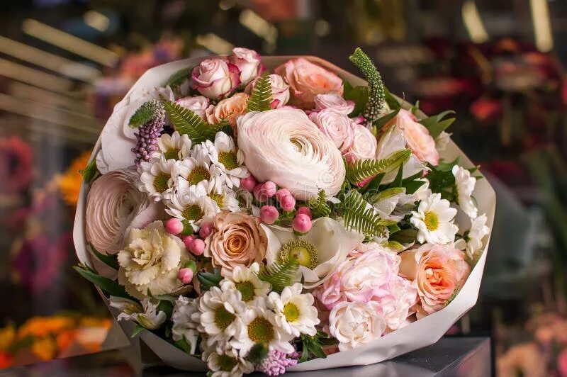 Free Images : petal, color, pink, floristry, peony, flowering plant, garden rose