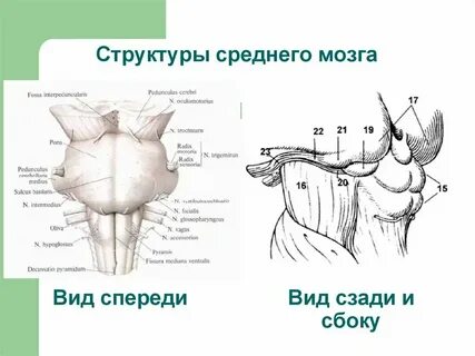 Как оформить строение