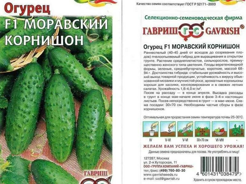 Огурцы лучшие сорта для засолки и консервирования. Огурец Крепыш корнишон f1. Огурец корнишон f1 семена. Огурец корнишон сорта f1. Огурцы семена самоопыляемые корнишоны для открытого грунта.