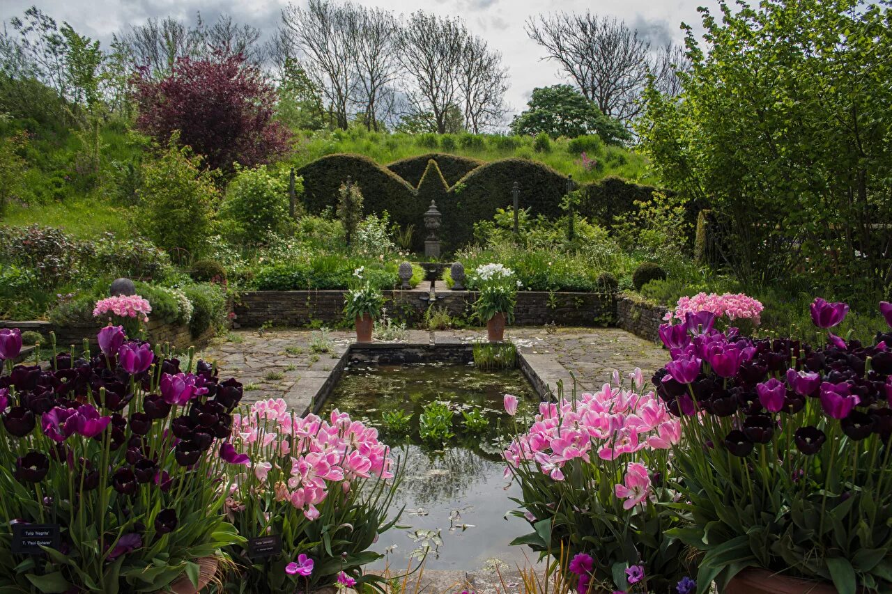 Викторианский сад биддалф грандж, англия. When was the garden. Сады и парки англии 19 век. Таинственный сад / the secret garden (2020). Таинственный сад иллюстрации ольги ионайтис.