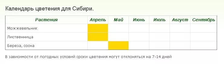 Календарь пыльцы. Календарь цветения. Календарь цветения для аллергиков Сибирь. Таблица цветения для аллергиков. Календарь цветения в Сибири.