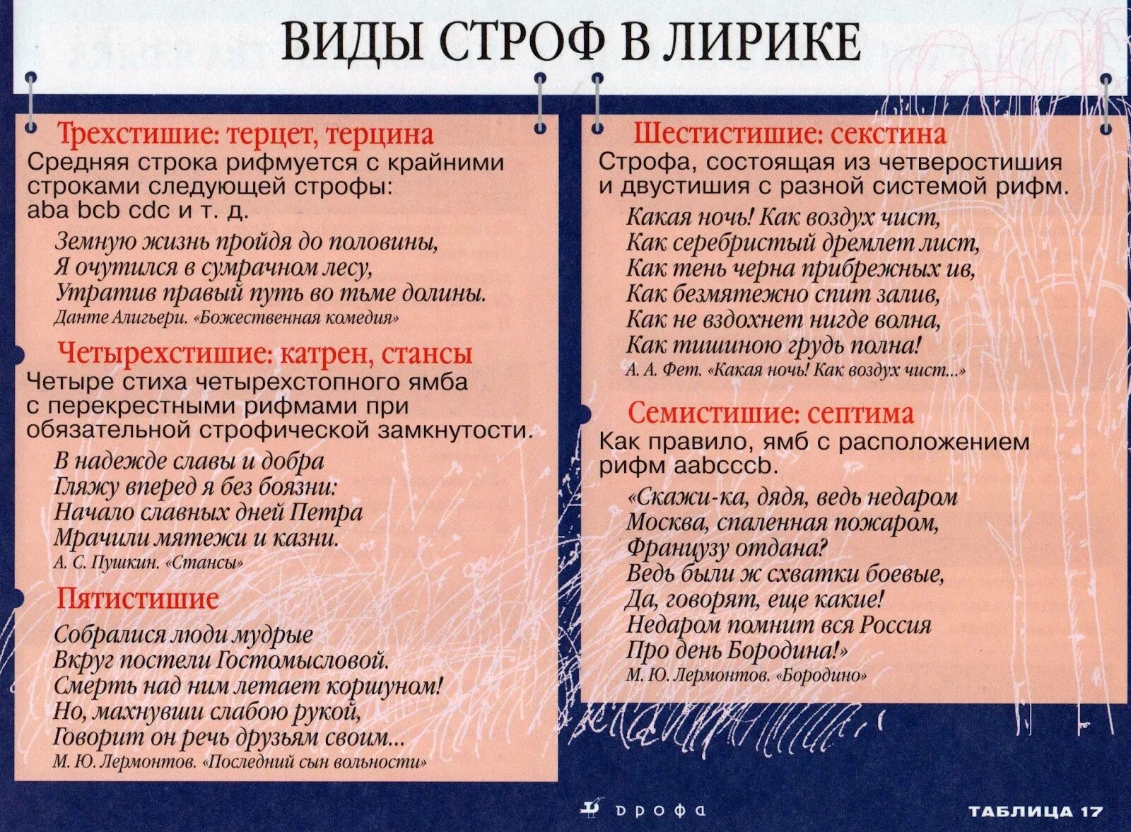 Виды строф. Типы строф в стихотворении. Виды строф в литературе. Виды строф в лирике. Какие рифмы есть в стихотворении