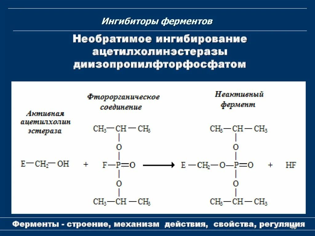 Ингибиторы ферментов. Ингибирование ферментов. Ингибиторы ферментов примеры. Ингибиторы ферментов биохимия.