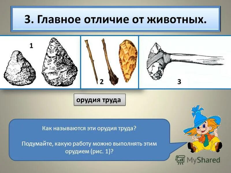 Что такое орудие труда. Орудия труда задания. животные и орудия труда. орудия животных. орудия труда животных.