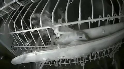 Не крутится в посудомойке
